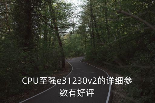 CPU至強(qiáng)e31230v2的詳細(xì)參數(shù)有好評(píng)