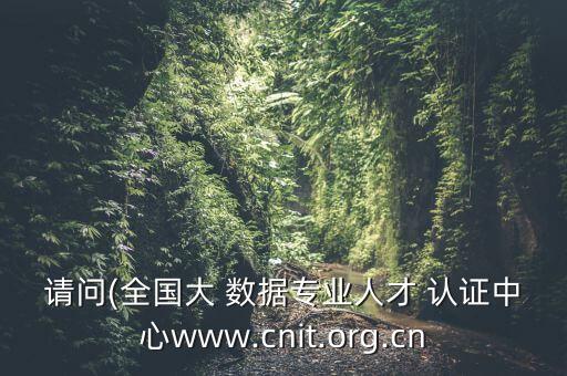 大數(shù)據(jù) 國家認(rèn)證,脫機(jī)數(shù)據(jù)認(rèn)證
