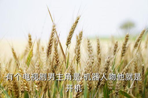 有個(gè)電視劇男主角是 機(jī)器人吻他就是開機(jī)