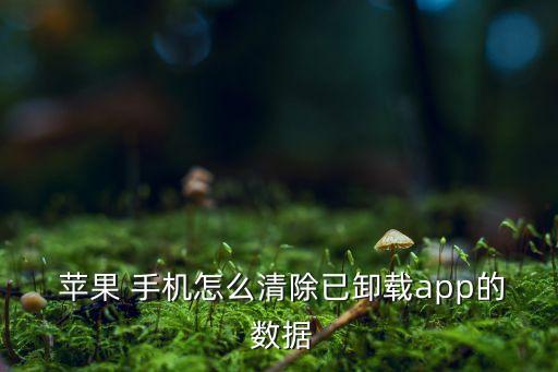 蘋(píng)果手機(jī)怎么刪除軟件數(shù)據(jù),ios如何清除應(yīng)用數(shù)據(jù)
