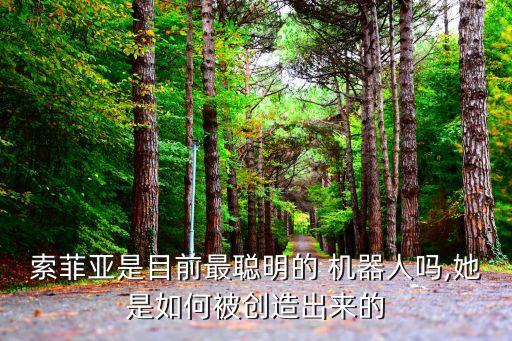 見(jiàn)見(jiàn)索非亞 類人機(jī)器人來(lái)了