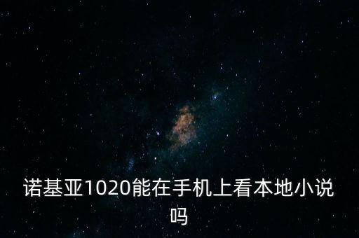 諾基亞1020能在手機(jī)上看本地小說嗎