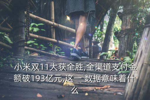  小米雙11大獲全勝,全渠道支付金額破193億元,這一 數(shù)據(jù)意味著什么