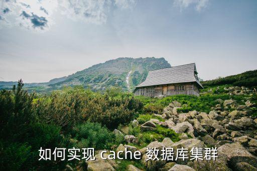 如何實現(xiàn) cache 數(shù)據(jù)庫集群