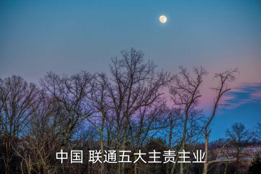 中國 聯(lián)通五大主責主業(yè)