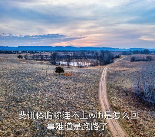  斐訊體脂稱連不上wifi是怎么回事難道是跑路了