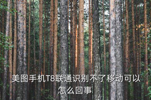 美圖t8數(shù)據(jù)網(wǎng)絡(luò)連不上
