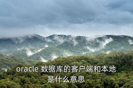 oracle 數(shù)據(jù)庫的客戶端和本地是什么意思