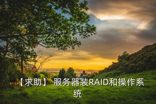 【求助】 服務器裝RAID和操作系統(tǒng)