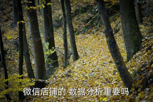 微信店鋪的 數據分析重要嗎