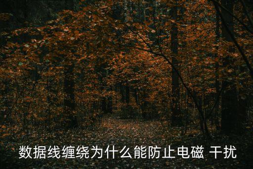 數(shù)據(jù)線相互干擾,wifi相互干擾