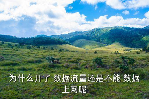 為什么開了 數(shù)據(jù)流量還是不能 數(shù)據(jù)上網(wǎng)呢