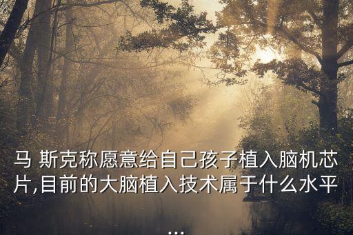 馬 斯克稱愿意給自己孩子植入腦機(jī)芯片,目前的大腦植入技術(shù)屬于什么水平...