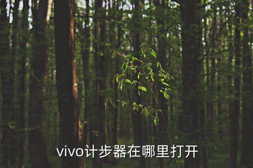  vivo計步器在哪里打開