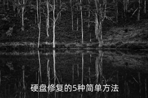 我想學(xué)硬盤數(shù)據(jù)恢復(fù),硬盤數(shù)據(jù)恢復(fù)2000元