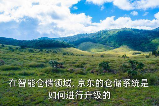 在智能倉儲領(lǐng)域, 京東的倉儲系統(tǒng)是如何進行升級的