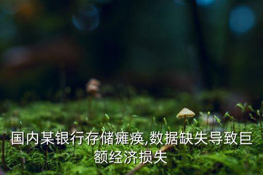 國內(nèi)某銀行存儲癱瘓,數(shù)據(jù)缺失導(dǎo)致巨額經(jīng)濟(jì)損失