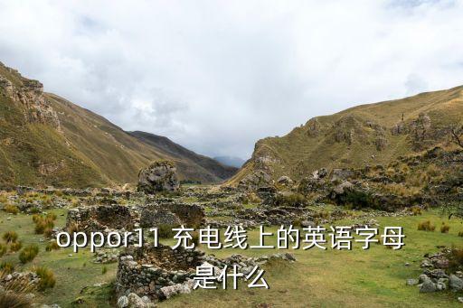這用用數(shù)據(jù)線充電英文怎么說,給我手機(jī)充電英文怎么說