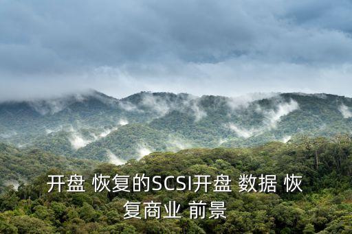開(kāi)盤 恢復(fù)的SCSI開(kāi)盤 數(shù)據(jù) 恢復(fù)商業(yè) 前景