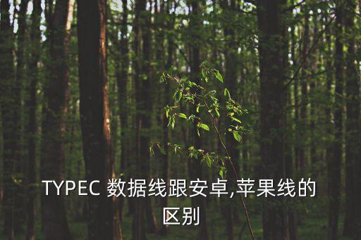 數(shù)據(jù)線和type的區(qū)別,5a6a數(shù)據(jù)線區(qū)別
