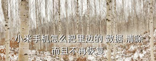  小米手機(jī)怎么把里邊的 數(shù)據(jù) 清除而且不再恢復(fù)