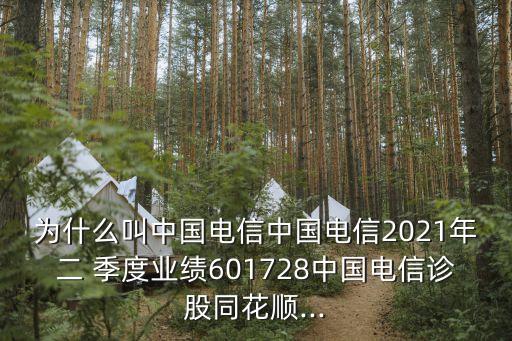 為什么叫中國電信中國電信2021年二 季度業(yè)績601728中國電信診股同花順...