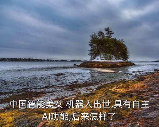 中國智能美女 機器人出世,具有自主AI功能,后來怎樣了