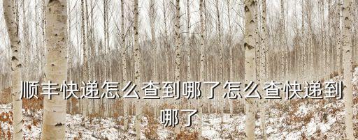 順豐數(shù)據(jù)庫在哪里看,順豐總公司地址在哪里