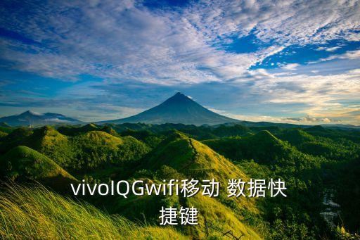 vivoIQGwifi移動(dòng) 數(shù)據(jù)快捷鍵
