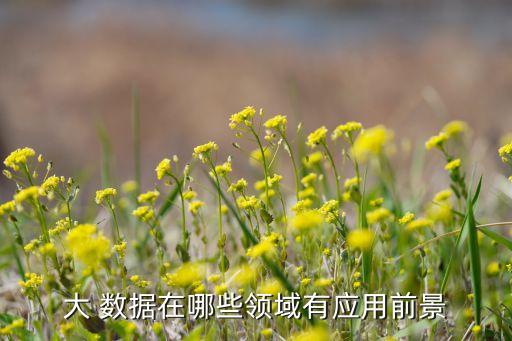 大數(shù)據(jù)時(shí)代的金融業(yè),試論大數(shù)據(jù)在金融業(yè)中的應(yīng)用