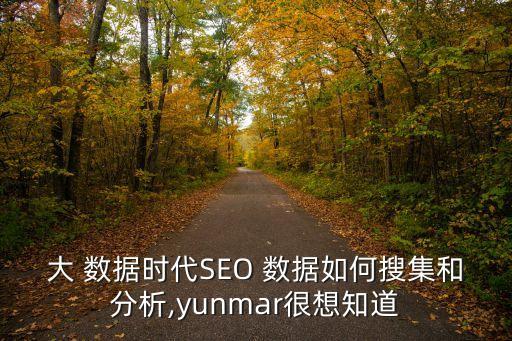 大 數(shù)據(jù)時代SEO 數(shù)據(jù)如何搜集和分析,yunmar很想知道