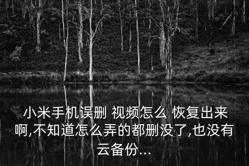  小米手機(jī)誤刪 視頻怎么 恢復(fù)出來(lái)啊,不知道怎么弄的都刪沒(méi)了,也沒(méi)有云備份...
