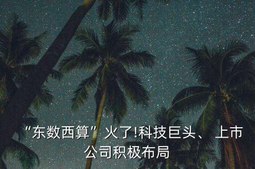 中興通訊互聯(lián)網(wǎng)數(shù)據(jù)中心上市