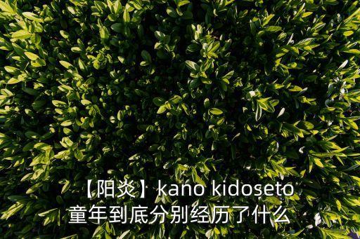 kido機(jī)器人如何對(duì)話(huà),智伴機(jī)器人如何對(duì)話(huà)