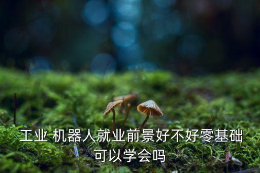 工業(yè)機(jī)器人人才培養(yǎng)