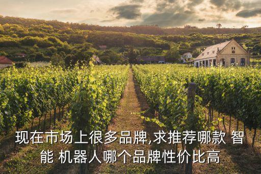 現(xiàn)在市場(chǎng)上很多品牌,求推薦哪款 智能 機(jī)器人哪個(gè)品牌性價(jià)比高