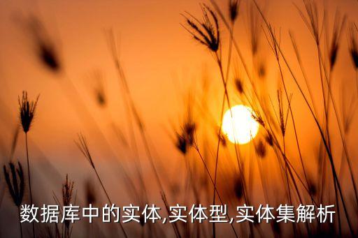 數據庫中的實體,實體型,實體集解析