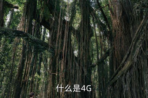 什么是4G
