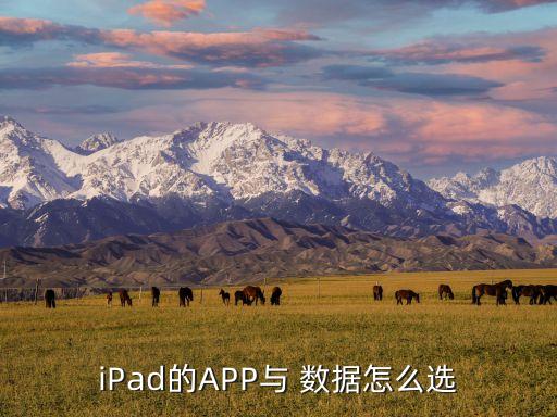 iPad的APP與 數(shù)據(jù)怎么選
