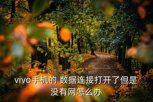 vivo手機的 數據連接打開了但是沒有網怎么辦
