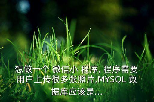 想做一個(gè) 微信小 程序, 程序需要用戶上傳很多張照片,MYSQL 數(shù)據(jù)庫應(yīng)該是...