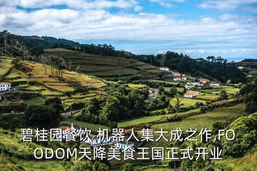 印象城機器人餐廳,松江印象城哪家餐廳好吃