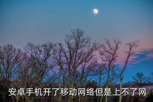  安卓手機(jī)開了移動(dòng)網(wǎng)絡(luò)但是上不了網(wǎng)