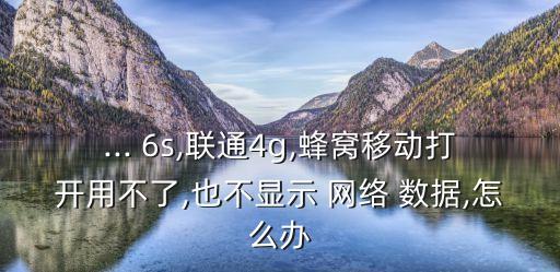 ... 6s,聯(lián)通4g,蜂窩移動打開用不了,也不顯示 網(wǎng)絡 數(shù)據(jù),怎么辦