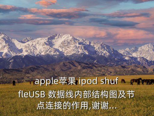 ipod shuffle原裝數(shù)據(jù)線