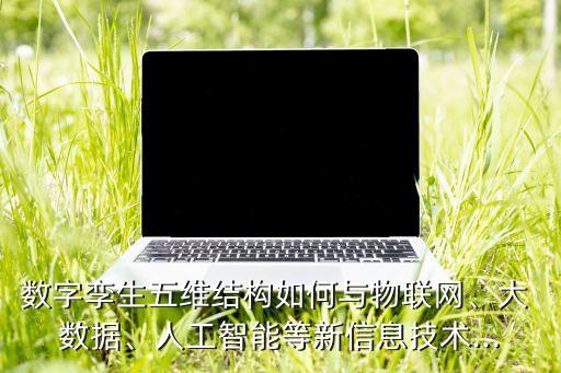 數(shù)字孿生五維結(jié)構(gòu)如何與物聯(lián)網(wǎng)、大 數(shù)據(jù)、人工智能等新信息技術(shù)...