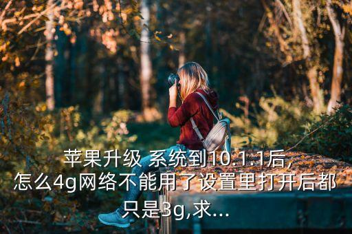  蘋果升級 系統(tǒng)到10.1.1后,怎么4g網(wǎng)絡(luò)不能用了設(shè)置里打開后都只是3g,求...