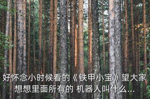 好懷念小時(shí)候看的《鐵甲小寶》望大家想想里面所有的 機(jī)器人叫什么...