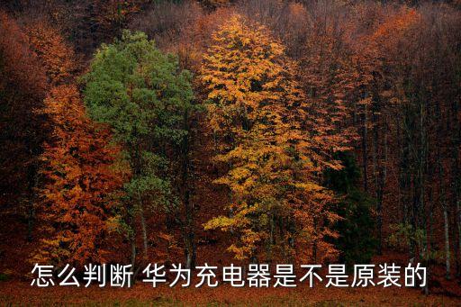 怎么判斷 華為充電器是不是原裝的