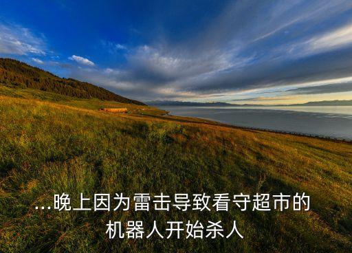 ...晚上因為雷擊導(dǎo)致看守超市的 機(jī)器人開始?xì)⑷? class=